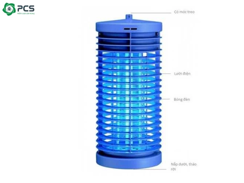 Hướng dẫn diệt mối tại nhà 